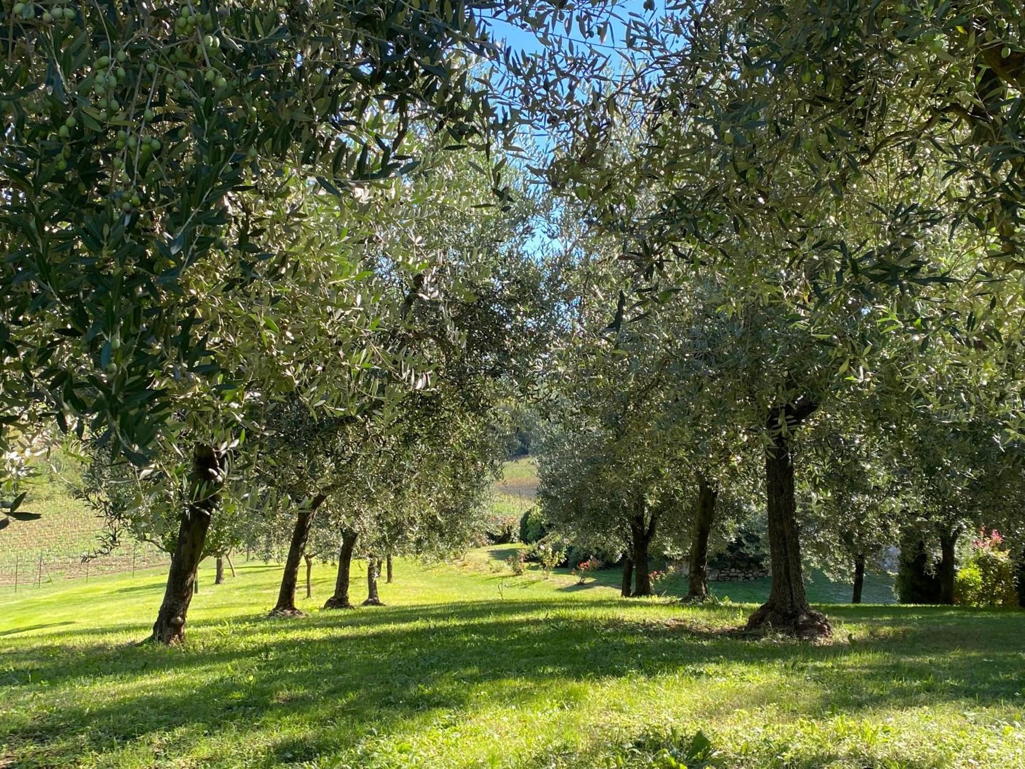 Podere Casanuova Сан-Джиминьяно Экстерьер фото