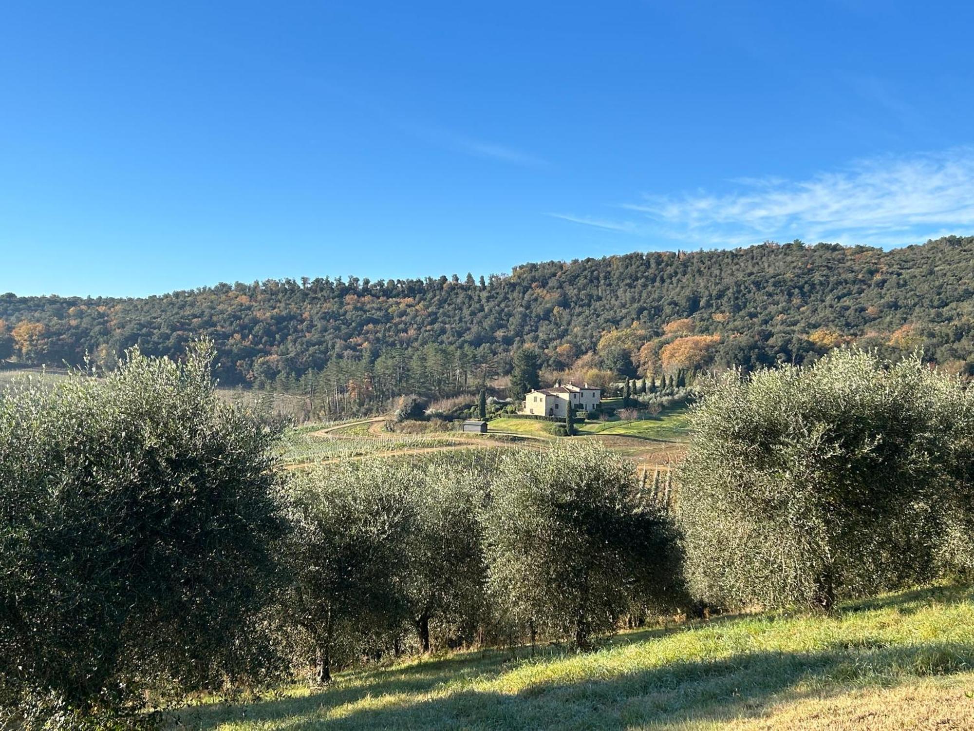 Podere Casanuova Сан-Джиминьяно Экстерьер фото